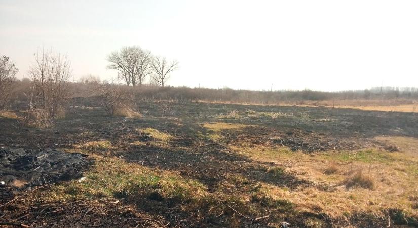 Bevetésen a tűzoltók: 20 hektárnyi száraz növényzet lángolt Hevesben