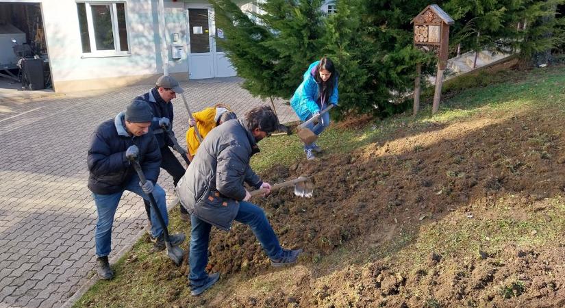 Vadvirágos rét a zalai város közepén