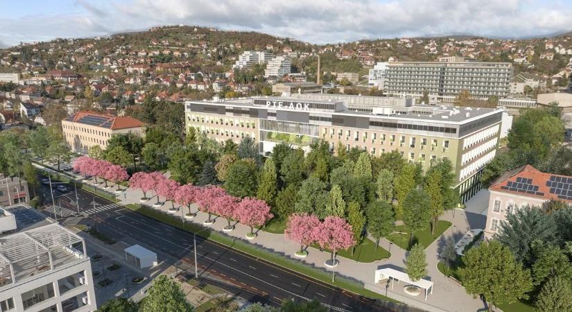 A park, ami új arcot ad az egyetemnek