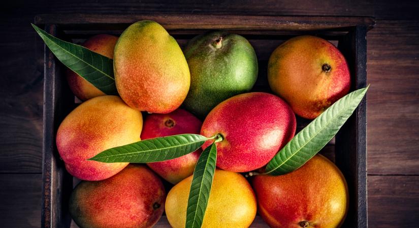 Nehogy kidobd a mangó magját! Elmondjuk, mit készíthetsz belőle otthon