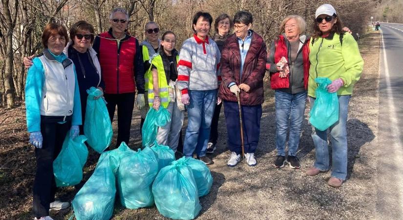 Lelkes önkéntesek tisztították meg Balatonalmádi utcáit