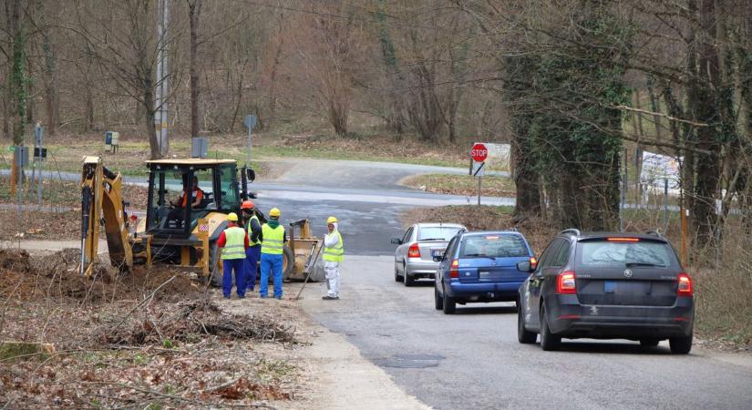 Déli átkötő: Békáknak alagút, autósoknak biztonság (galéria, videó)