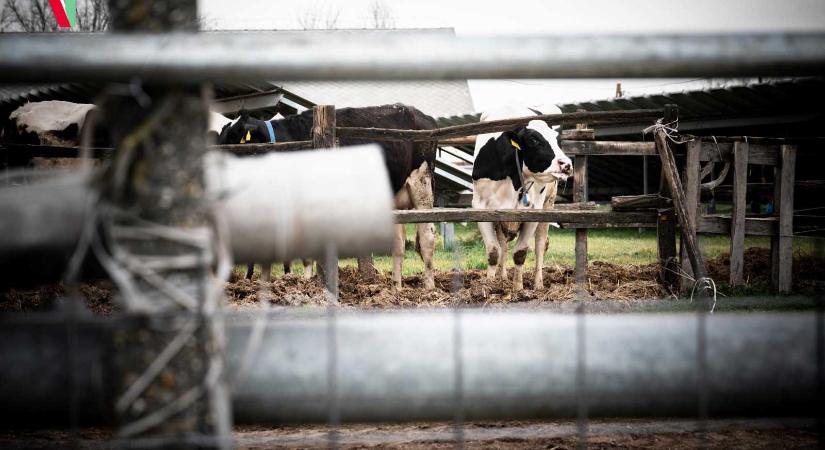 Szomszédban a vírus – Szigorú intézkedések Romániában