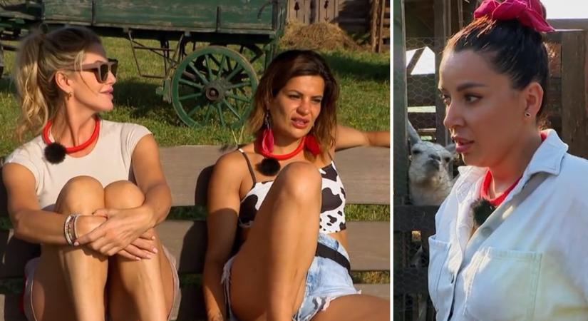 „Háziállatnak nem kéne” – társai szerint Dávid Petra megalázóan beszélt a többiekről a Farm VIP-ben