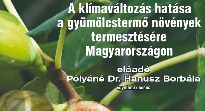 Gyümölcstermő növényekről a nyugdíjas egyetemen