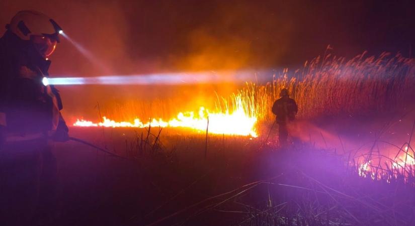 Emberfeletti küzdelmet folytattak a tűzoltók Borsodban, 110 hektáron tombolt a tűz