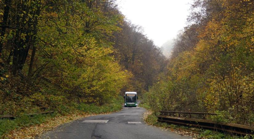 El akarta vágni a buszsofőr torkát a miskolci férfi, végül inkább szájba rúgta