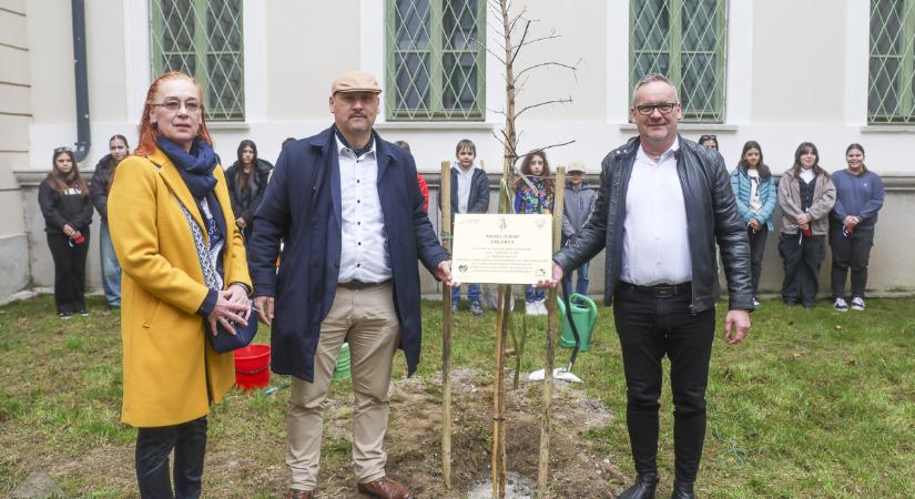 Tanítók napja faültetéssel