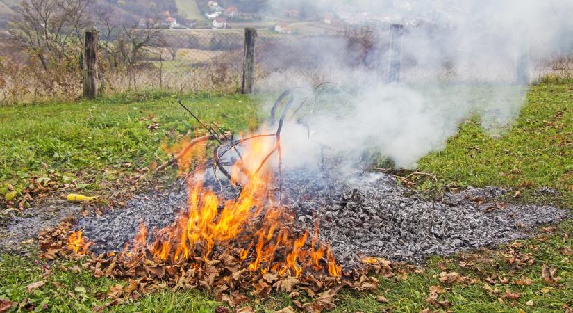 Hova fordulhatok, ha a szomszéd zöldhulladékot éget a kertjében?