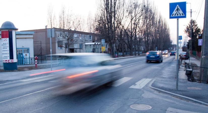 Nem bírnak lassítani a Fejér megyeiek: százával készültek a drága fotók!