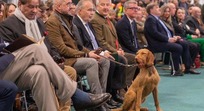 Évi félmilliárd forintból a magyar adófizetők tartják életben a Nimród Vadászújságot