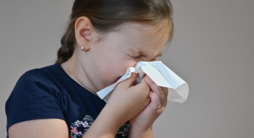 Az influenzajárvány egyelőre elkerül bennünket
