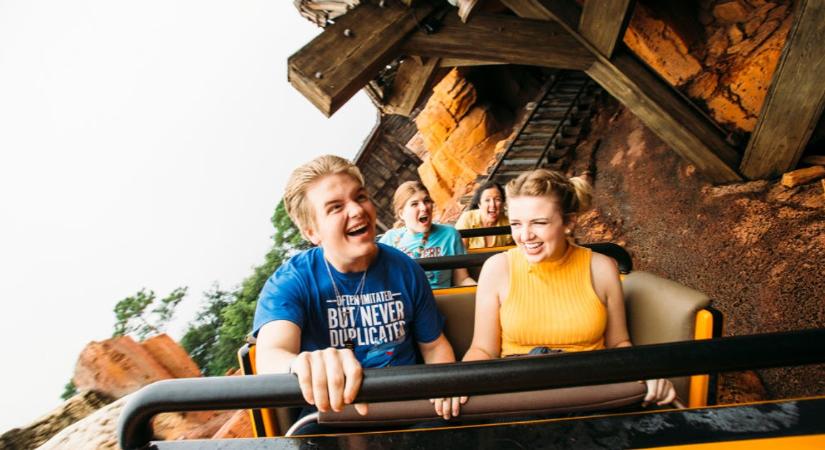 2016-ban egy orvos észrevette, hogy egy Disneyland-látványosság a páciensei 70%-ának segített a vesekő kiürülésében