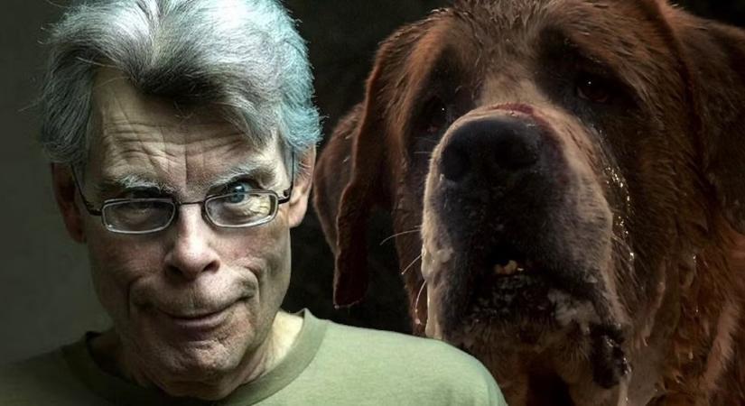 A Netflix veszi kezelésbe Stephen King 1981-es regényét