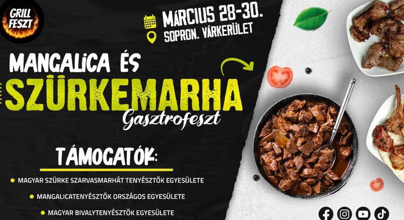 Mangalica és Szürkemarha Gasztrofeszt 2025 Sopron