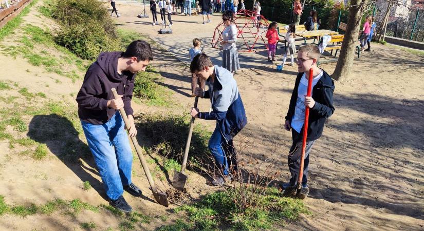 Közös faültetéssel dolgoznak egy szebb jövőért