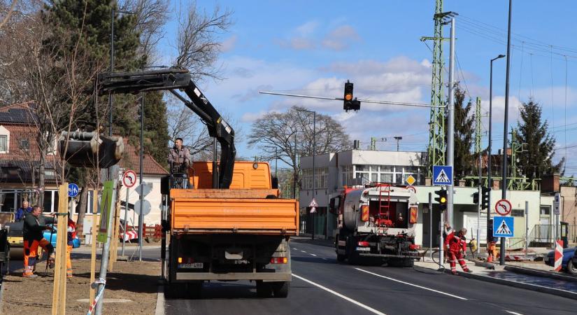 A járdát és a kerékpárutat aszfaltozzák, majd a növényeket telepítik (galéria)