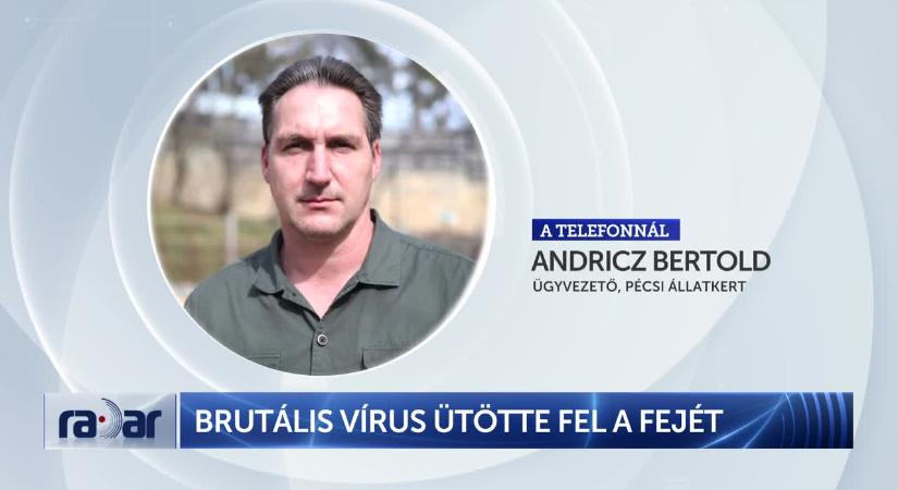 Radar - Brutális vírus ütötte fel a fejét  videó