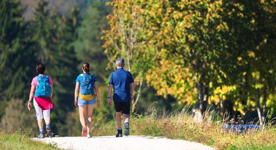 Turistautakat zárnak le a ragadós száj- és körömfájás terjedése miatt