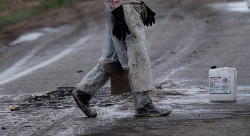 Súlyos pusztítást végezhet a mezőgazdaságban, ha nem sikerül megfékezni a száj- és körömfájásjárványt