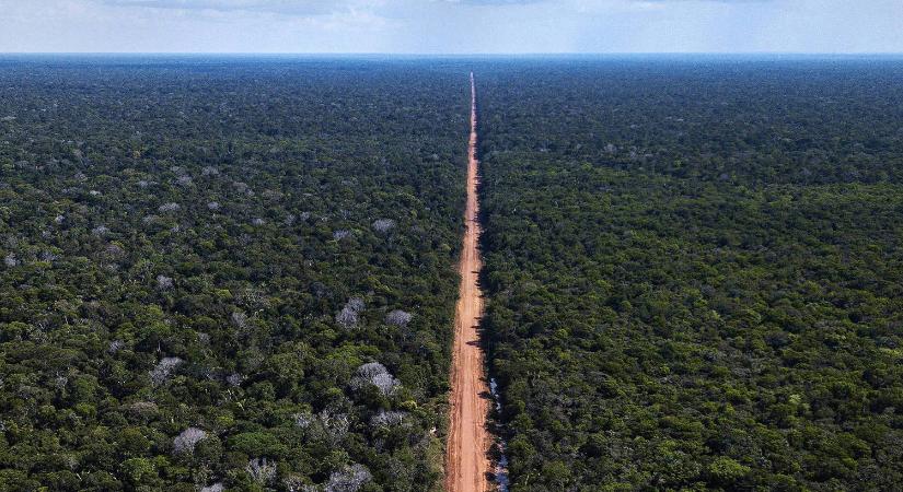 Őrület: Amazonas-esőerdőt irtanak, hogy sztrádát építsenek a klímacsúcshoz