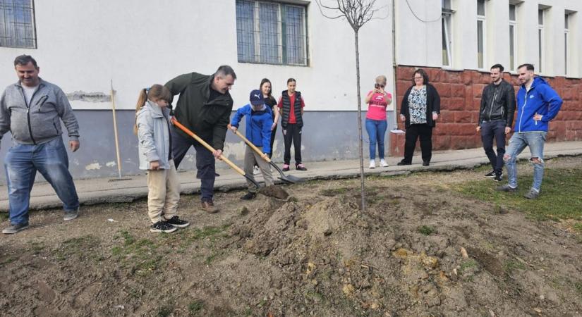 Hat fával gazdagodott a Széchenyi suli Polgárdiban