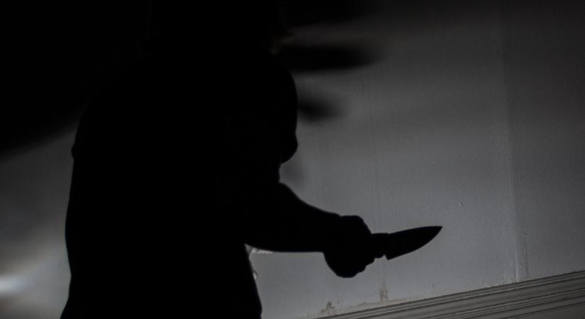 Rendőrt akart ölni a megzavarodott nő, a figyelmeztető lövésnek egy sérültje van – videó