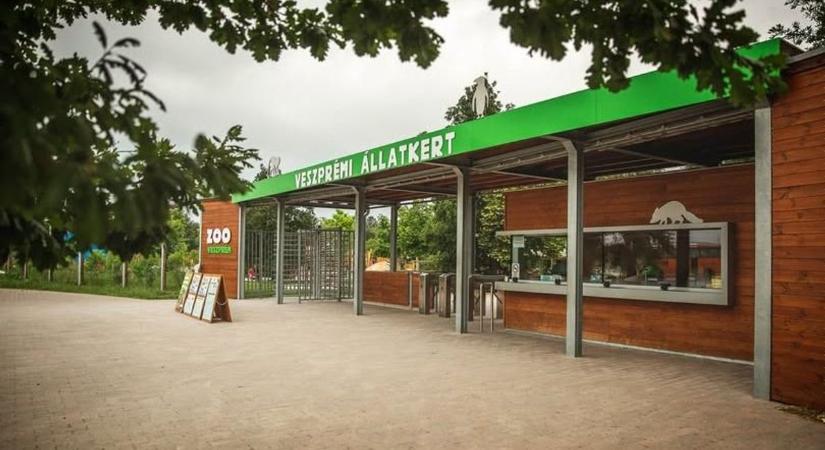 Így döntött a Veszprémi Állatkert a száj- és körömfájás járvány miatt