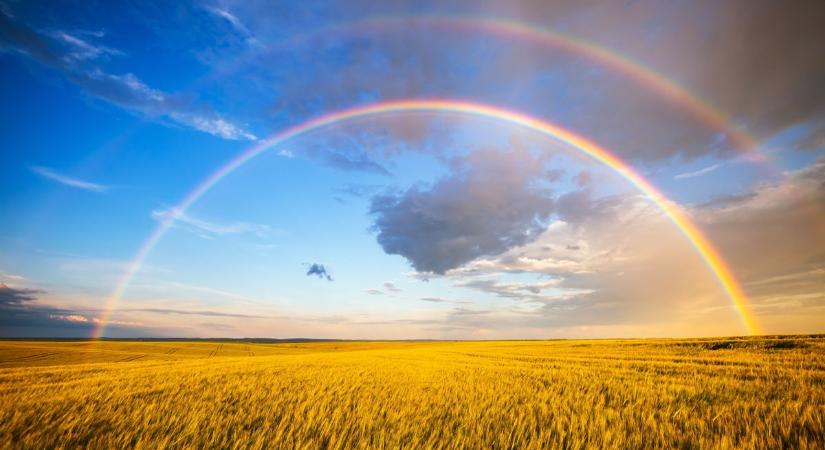 Ukrán EU-csatlakozás: fenntarthatatlan lenne a jelenlegi agrártámogatási szint