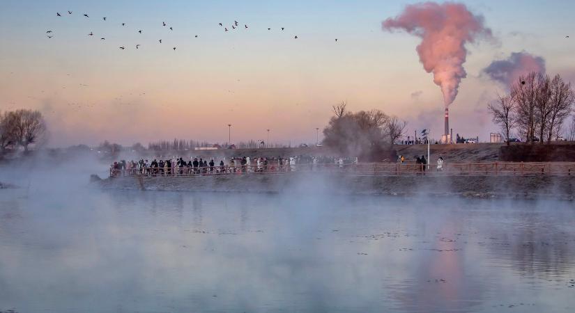 Páncélos szörnyeteg rejtőzik a Tisza mélyén