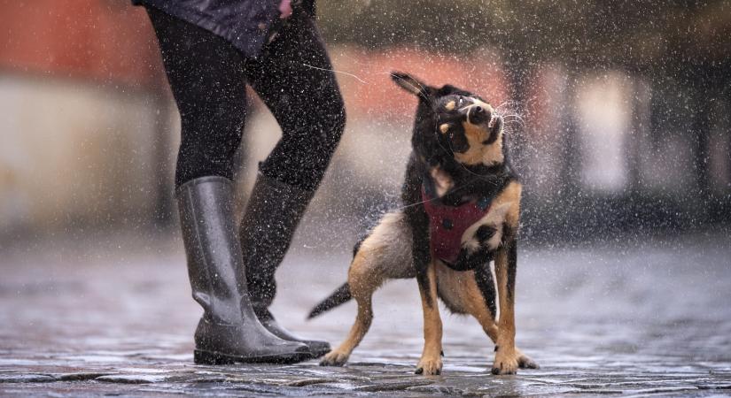 Orvosmeteo: a lehűlés előtt még kiadós eső jön