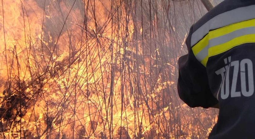 Mától megszűnt a tűzgyújtási tilalom a vármegyében