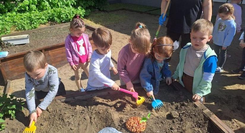 Zöldebb jövőt építenek az óvodások– Ön is segíthet nekik!