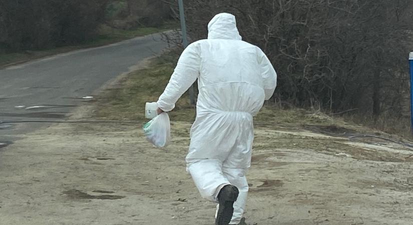 Rusvai Miklós: bioterrorista támadás is lehetett a kisbajcsi marhavész