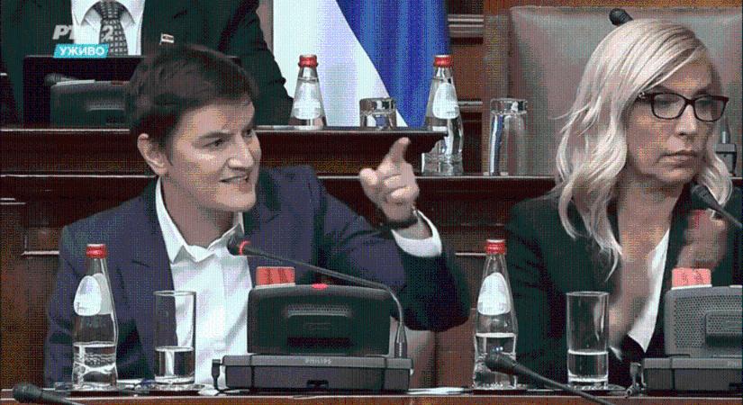 A Belgrádi Egyetem rektori kollégiuma elutasítja Ana Brnabić rosszindulatú célozgatásait