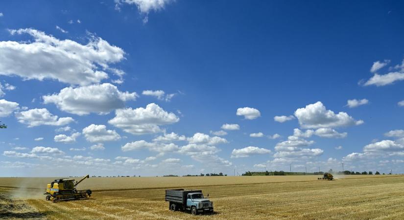 Vészharangot kongat az agrárkamara: Védővámot kér az ukrán termékdömpingre