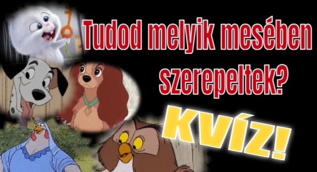 Ismerd fel kvíz: 10 felejthetetlen mesebeli állat. Tudod melyik rajzfilmben szerepeltek?