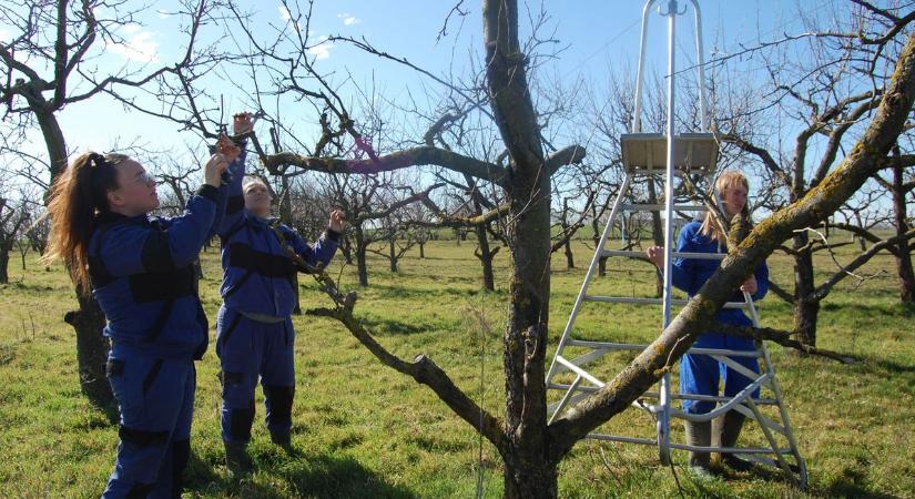 Ha ezt most nem teszed meg, a kerted bánhatja! Így készítsd fel a növényeidet a szezonra – galériával