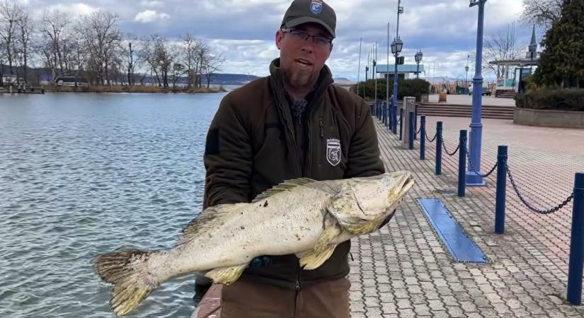 Dráma a Balaton egyes kikötőiben, üzentek a lakosságnak – videó