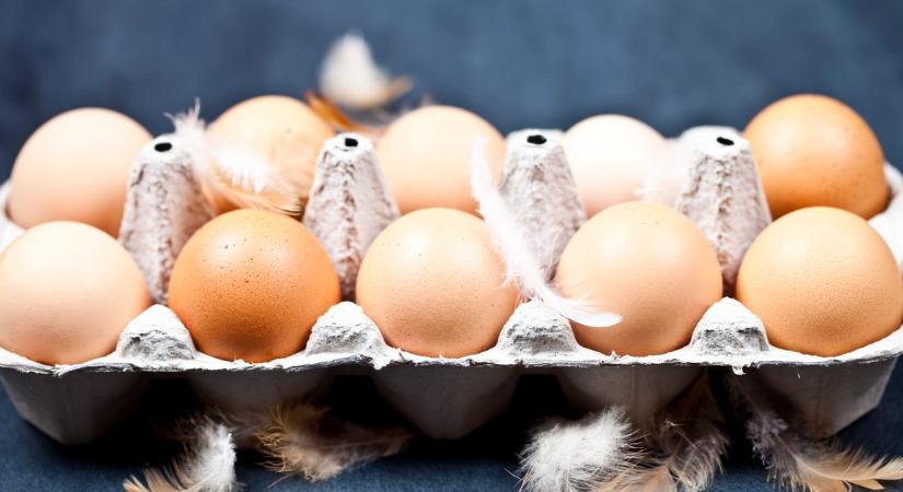 Anyósom meglepő trükkjével sokkal tovább frissek maradnak a tojásaid