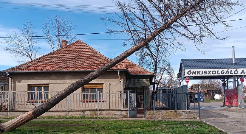 Békés vármegyében tizennyolc esetben riasztották a tűzoltókat viharkárok miatt