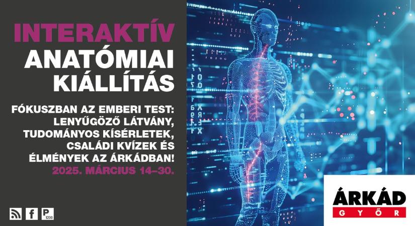 Interaktív anatómiai kiállítással köszönti a tavaszt az ÁRKÁD Győr – Húsvéti programok: látványos díszlet, kisvasút, kézműves-foglalkozások várják a gyerekeket