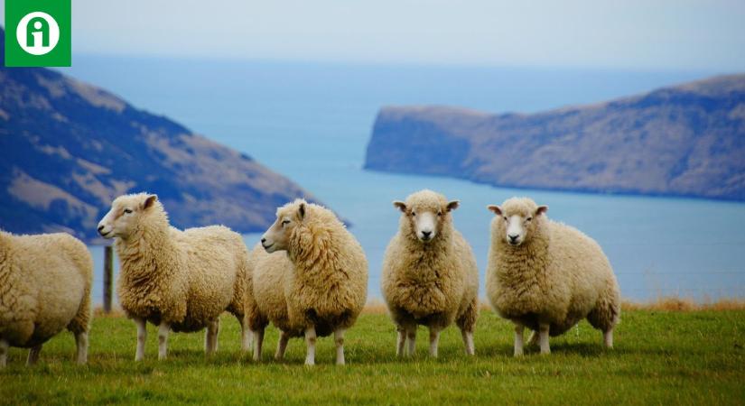 Élet agrártámogatások nélkül? Igen, létezik!