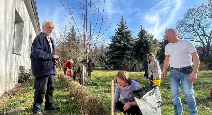 Zöld kincsek a kertben - Fákat ültettek a Lenck-villában