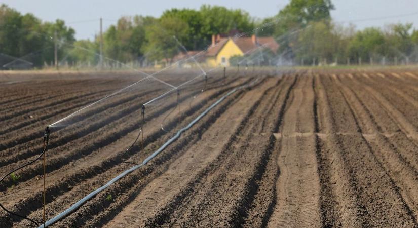 Aszály: még a három évvel ezelőtti csúcsszárazsághoz képest is rosszabb a helyzet