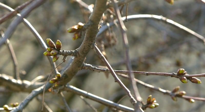 A hét elején országszerte nagyon hideg lesz – Mikor jön a felmelegedés?