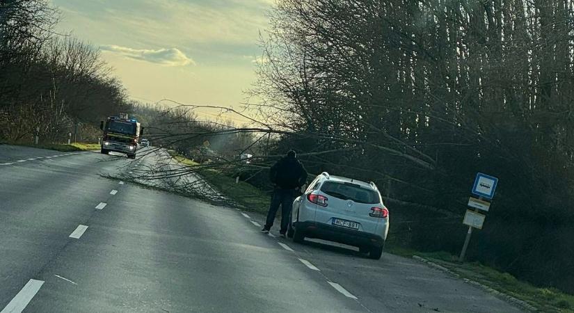 Óvatosan, fa dőlt az útra Szatmárban