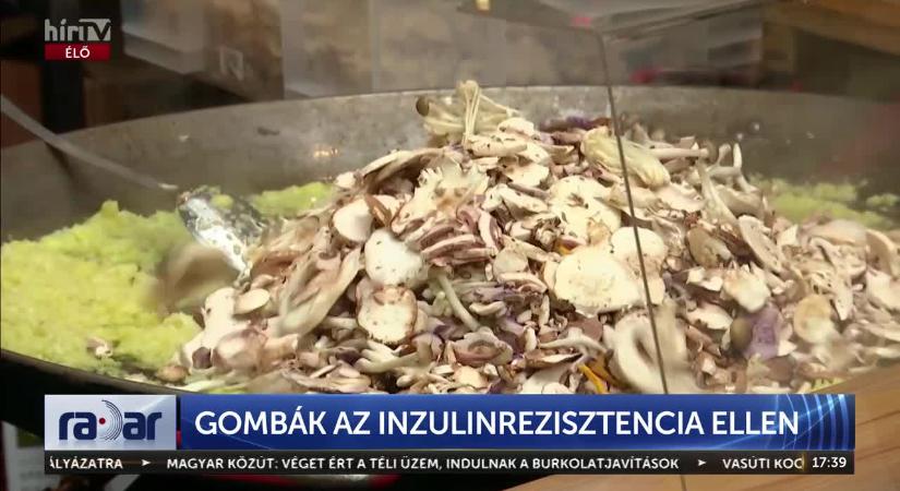 Radar - Gombák az inzulinrezisztencia ellen  videó