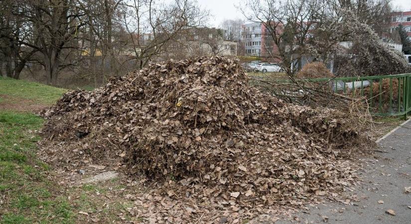 Száztonnákban mérhető az Egerben begyűjtött lombhulladék