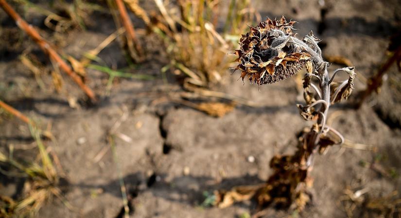 Érdemes figyelni erre a dátumra, kihirdették a tartósan vízhiányos időszakot